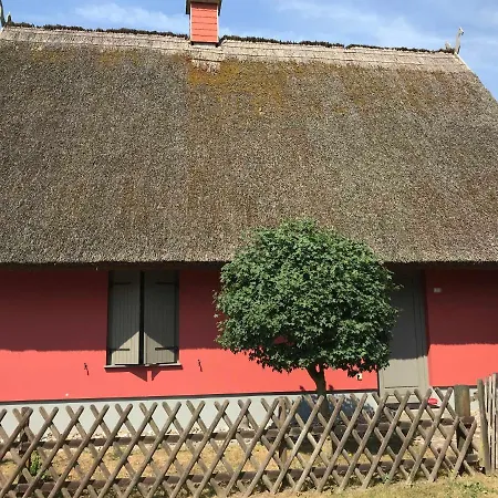 Σπίτι διακοπών Ferienhaus _hornhecht_ Kamminke